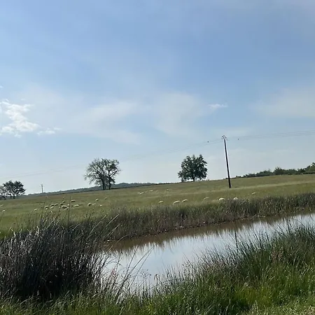 F2 Le Havre De Paix Au Rez De Chaussee 6 Personnes *